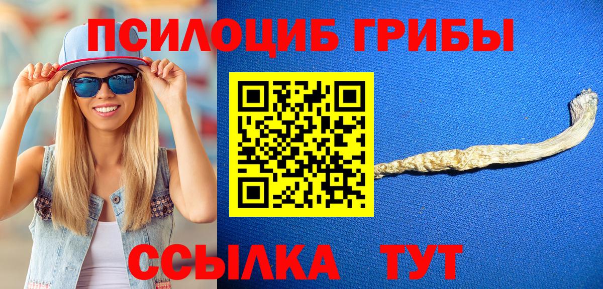 Псилоцибиновые грибы Psilocybine cubensis Краснотурьинск
