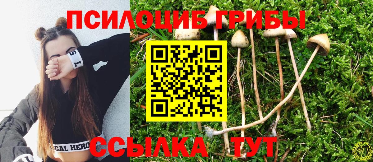 Псилоцибиновые грибы Psilocybe  Галлюциногенные грибы GOLDEN TEACHER  Вход с VPN  Краснотурьинск 